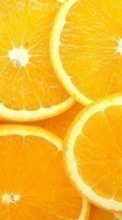 Oranges, Background for LG KP501 Cookie