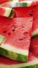 New mobile wallpapers - free download. Watermelons,Food,Fruits picture and image for mobile phones.
