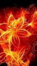 New 540x960 mobile wallpapers Flowers, Backgrounds, Art, Fire, Drawings free download.