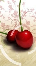 New mobile wallpapers - free download. Fruits, Sweet cherry, Food, Art, Berries picture and image for mobile phones.
