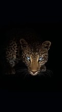 New 128x160 mobile wallpapers Animals, Art, Leopards free download.