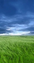 New 128x160 mobile wallpapers Landscape, Grass, Sky, Art free download.