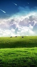 New 240x400 mobile wallpapers Landscape, Grass, Sky, Art free download.