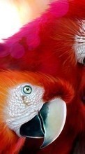 New 1280x800 mobile wallpapers Animals, Birds, Art, Parrots, Drawings free download.