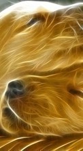 New mobile wallpapers - free download. Dogs, Art, Drawings picture and image for mobile phones.