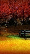 New 540x960 mobile wallpapers Landscape, Trees, Autumn, Art photo free download.