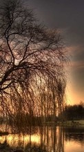 New mobile wallpapers - free download. Landscape, Rivers, Trees, Sunset, Art photo picture and image for mobile phones.