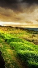 Art photo, Roads, Nature for Sony Ericsson P1