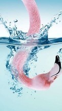 New mobile wallpapers - free download. Animals, Birds, Water, Art photo, Flamingo picture and image for mobile phones.