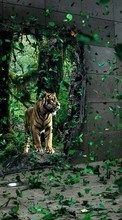New 240x400 mobile wallpapers Animals, Art photo, Tigers free download.
