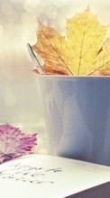 New mobile wallpapers - free download. Cups,Background,Leaves picture and image for mobile phones.