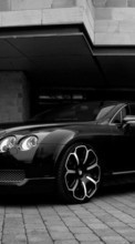 New 480x800 mobile wallpapers Transport, Auto, Bentley free download.