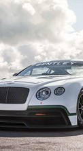 New mobile wallpapers - free download. Auto,Bentley,Transport picture and image for mobile phones.