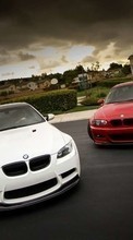 New mobile wallpapers - free download. Auto, BMW, Transport picture and image for mobile phones.