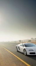 New mobile wallpapers - free download. Transport, Auto, Roads, Bugatti picture and image for mobile phones.