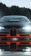 New mobile wallpapers - free download. Auto, Bugatti, Transport picture and image for mobile phones.