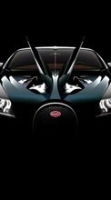 New mobile wallpapers - free download. Auto,Bugatti,Transport picture and image for mobile phones.