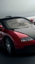 New mobile wallpapers - free download. Auto,Bugatti,Transport picture and image for mobile phones.
