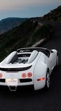 New mobile wallpapers - free download. Transport, Auto, Bugatti picture and image for mobile phones.