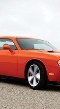 New mobile wallpapers - free download. Transport, Auto, Dodge Challenger picture and image for mobile phones.