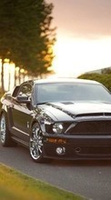 New mobile wallpapers - free download. Auto, Roads, Mustang, Transport picture and image for mobile phones.