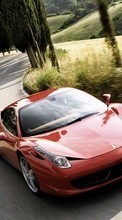 New mobile wallpapers - free download. Auto,Ferrari,Transport picture and image for mobile phones.