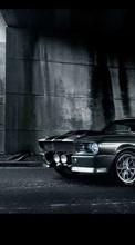 New mobile wallpapers - free download. Auto, Ford, Mustang, Transport picture and image for mobile phones.