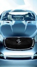 New mobile wallpapers - free download. Transport, Auto, Jaguar picture and image for mobile phones.