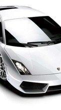 Transport, Auto, Lamborghini for LG Optimus Sol E730