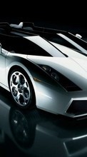New mobile wallpapers - free download. Transport, Auto, Lamborghini picture and image for mobile phones.