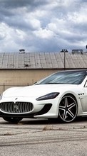 New mobile wallpapers - free download. Auto,Maserati,Transport picture and image for mobile phones.