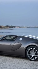 New mobile wallpapers - free download. Transport, Auto, Sky, Sea, Bugatti picture and image for mobile phones.