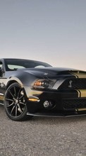 New mobile wallpapers - free download. Auto, Mustang, Transport picture and image for mobile phones.