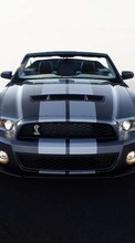 New mobile wallpapers - free download. Auto,Mustang,Transport picture and image for mobile phones.