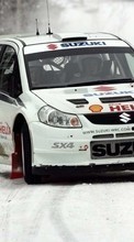Auto,Rally,Sports,Transport,Suzuki for LG G Pad 8.0 V490