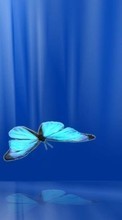 New 720x1280 mobile wallpapers Butterflies, Insects, Backgrounds free download.