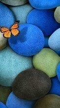 New mobile wallpapers - free download. Butterflies, Stones, Insects, Objects picture and image for mobile phones.