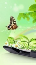 New 800x480 mobile wallpapers Butterflies, Insects, Drawings free download.