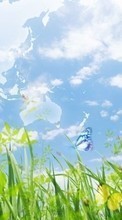 New mobile wallpapers - free download. Landscape, Butterflies, Grass, Sky picture and image for mobile phones.
