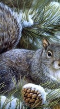 New mobile wallpapers - free download. Squirrel,Animals picture and image for mobile phones.