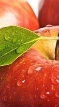 New mobile wallpapers - free download. Apples, Food, Background, Fruits, Drops picture and image for mobile phones.
