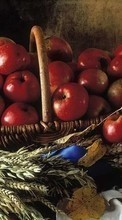 New mobile wallpapers - free download. Apples,Food,Background,Still life picture and image for mobile phones.