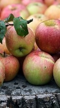 Apples, Food, Fruits for Motorola RAZR V3