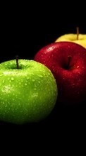 New mobile wallpapers - free download. Apples, Food, Fruits picture and image for mobile phones.