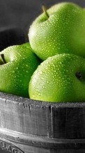 New mobile wallpapers - free download. Apples, Food, Fruits, Drops picture and image for mobile phones.