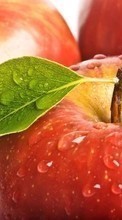 New mobile wallpapers - free download. Apples, Food, Fruits, Drops picture and image for mobile phones.