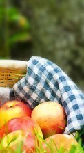 New mobile wallpapers - free download. Apples,Food,Objects picture and image for mobile phones.