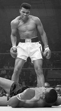 New mobile wallpapers - free download. Boxing, People, Men, Sports, Muhammad Ali picture and image for mobile phones.
