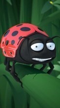 New 1080x1920 mobile wallpapers Humor, Insects, Ladybugs free download.