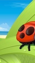 New mobile wallpapers - free download. Humor, Ladybugs, Drawings picture and image for mobile phones.
